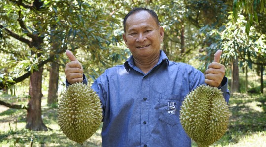 durian farmer