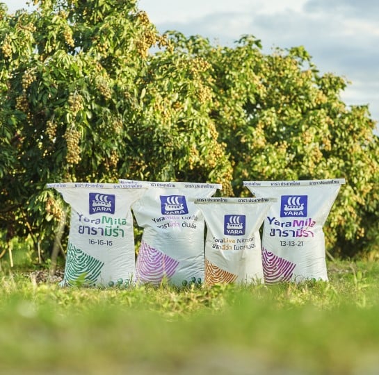 องค์กรที่รณรงค์การลดใช้พลาสติก (reduce plastic waste)