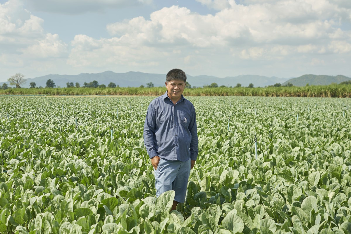 kale farmer