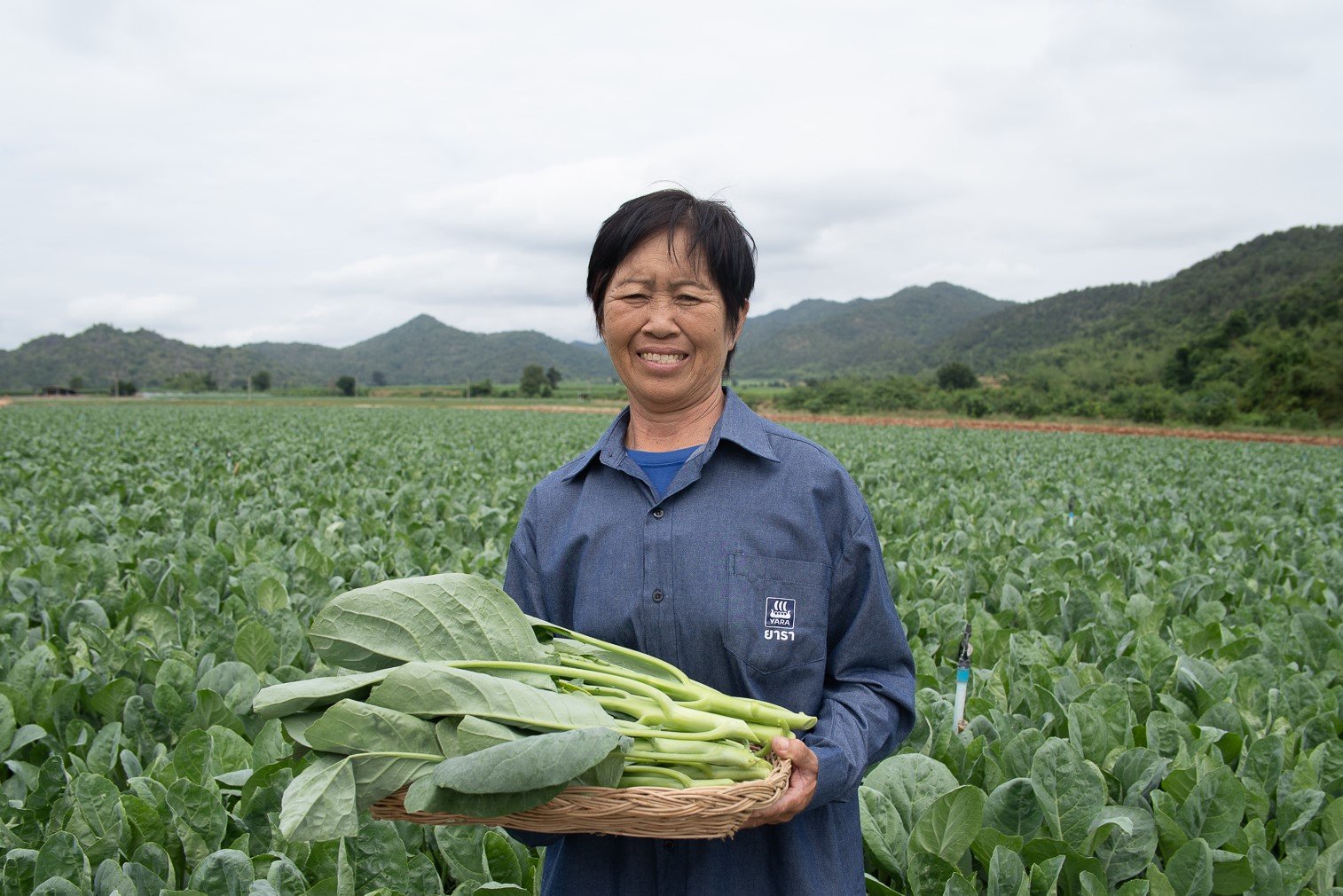 คุณสุวิมล ปฐมเพทาย