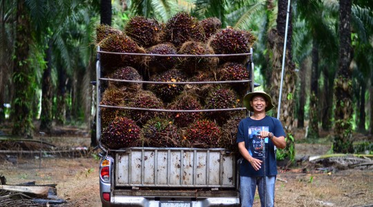 คุณกิจจ์เตชินทร์ คําดา
