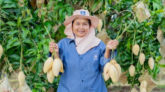 คุณบุญมี บุญมีมา