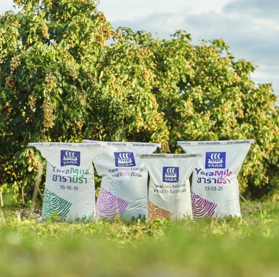 องค์กรที่รณรงค์การลดใช้พลาสติก (reduce plastic waste)