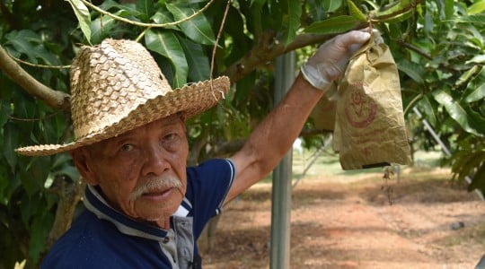 คุณอาทิตย์ เกษมศรี