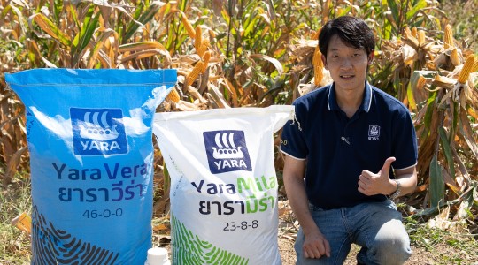 เคล็ดลับ...โปรแกรมปุ๋ยมืออาชีพ สำหรับสุดยอดข้าวโพด