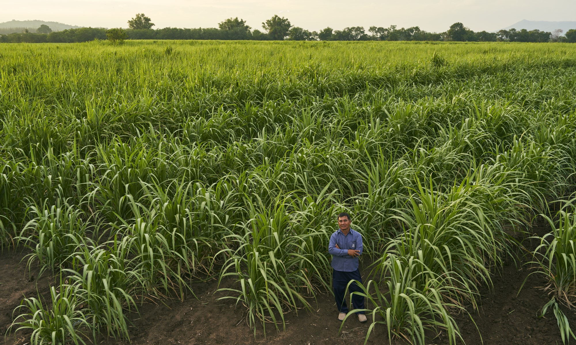 farmer in field