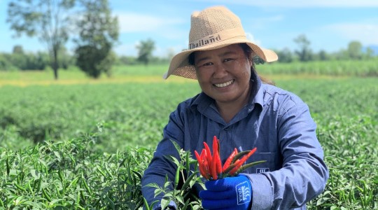 คุณคําตา ปากกุดเลาะ