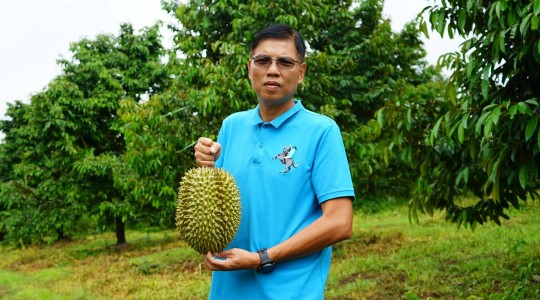 Durian